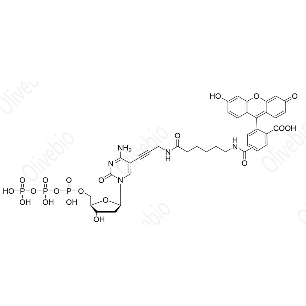 FAM-12-dCTP;FAMDCTP;,Fluorescein-12-dCTP