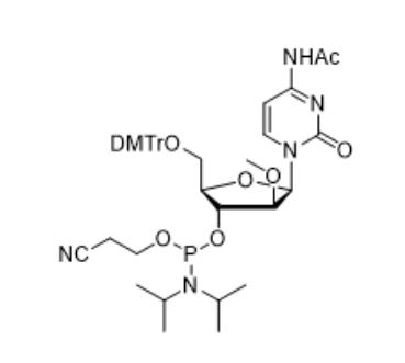 2'-OMe-dC(Ac)-ANA-CE-Phosphoramidite,2'-OMe-dC(Ac)-ANA-CE-Phosphoramidite