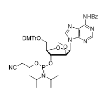 2'-OMe-dA(Bz)-ANA-CE-Phosphoramidite,2'-OMe-dA(Bz)-ANA-CE-Phosphoramidite