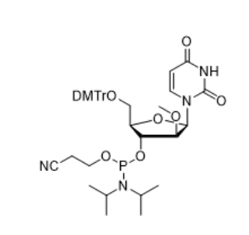 2'-OMe-U-ANA-CE-Phosphoramidite,2'-OMe-U-ANA-CE-Phosphoramidite