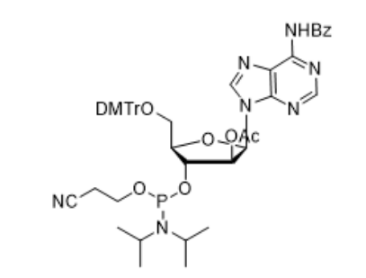 2'-OAc-dA(BZ)-ANA-CE-Phosphoramidite,2'-OAc-dA(BZ)-ANA-CE-Phosphoramidite