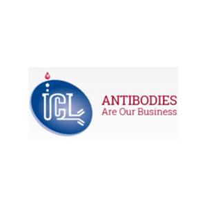 ICL Antibodies