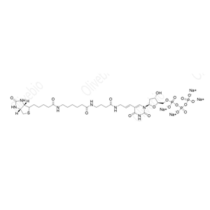 生物素标记的	2'-脱氧尿苷-5'-三磷酸