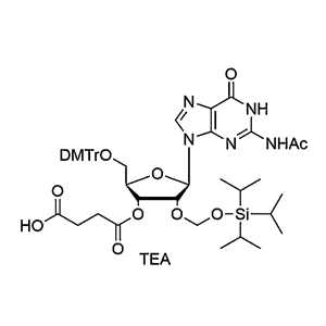 5'-O-DMTr-2'-O-TOM-G(Ac) succinate