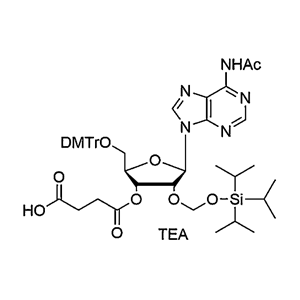 5'-O-DMTr-2'-O-TOM-A(Ac) succinate