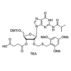 5'-O-DMTr-2'-O-TMBTM-G(iBu)-3'-O-succinate, TEA salt