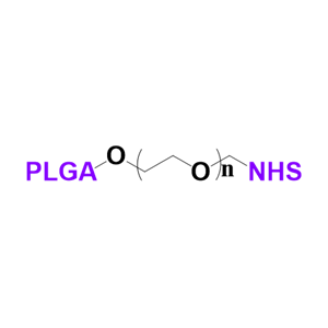 PLGA-PEG-NHS聚乳酸-羟基乙酸共聚物-聚乙二醇-活性酯