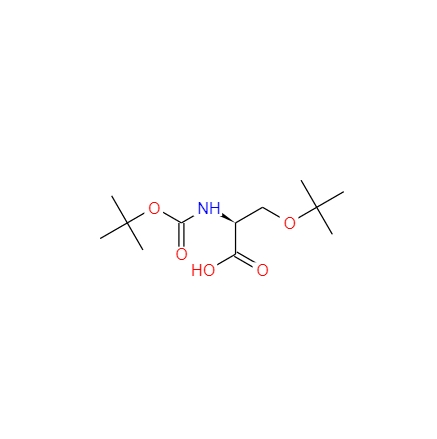 N-BOC-O-叔丁基-L-丝氨酸,Boc-O-tert-butyl-L-serine