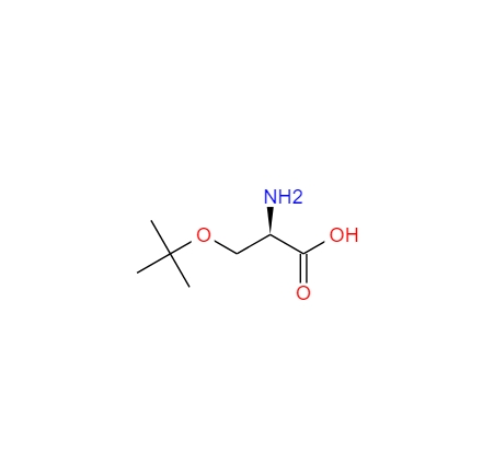 O-叔丁基-D-丝氨酸,O-tert-Butyl-D-serine