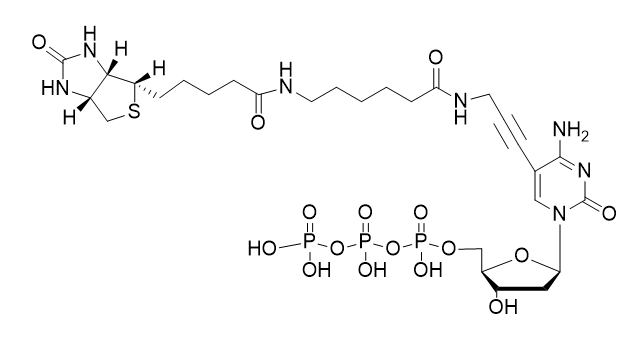 Biotin-11-dCTP,5-(N-(N-BIOTINYL-EPSILON-AMINO-CAPROYL)- 3-AMINOALL