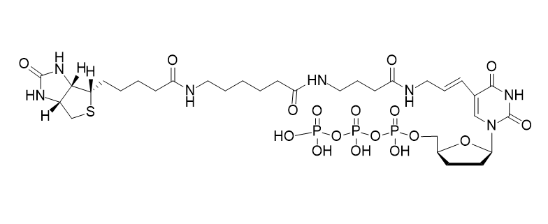 Biotin-16-ddUTP,Biotin-16-ddUTP