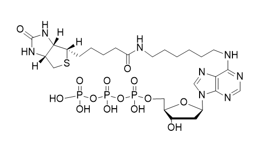 Biotin-7-dATP,Biotin-7-dATP