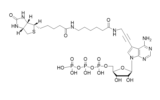 Biotin-11-ATP,Biotin-11-ATP