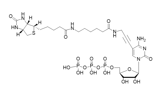 Biotin-11-CTP,Biotin-11-CTP