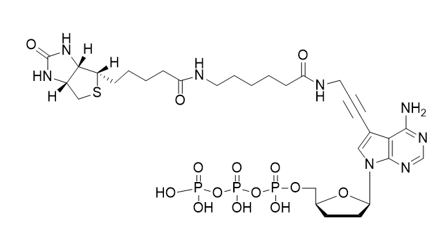 Biotin-11-ddATP,Biotin-11-ddATP