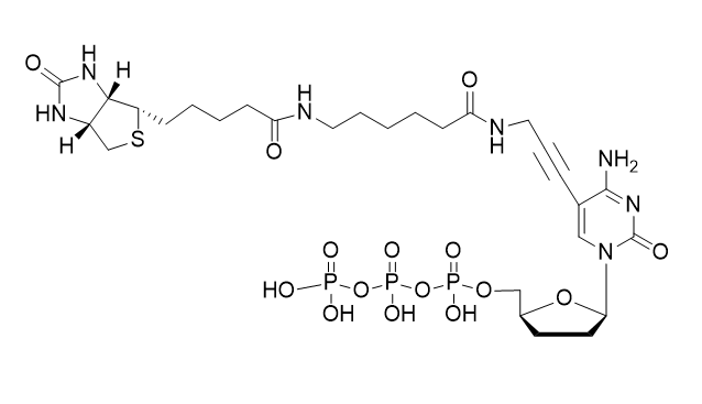 Biotin-11-ddCTP,Biotin-11-ddCTP