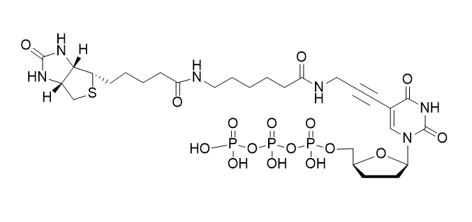 Biotin-11-ddUTP,Biotin-11-ddUTP