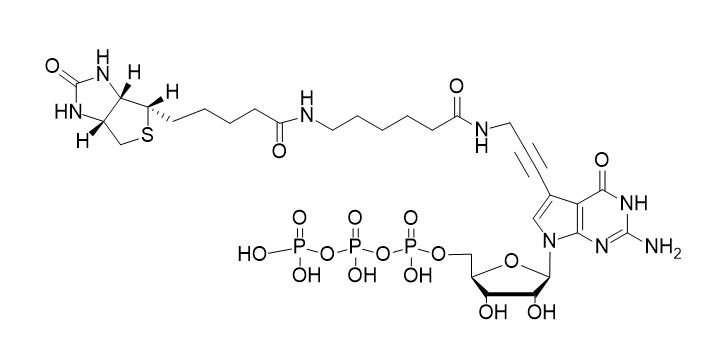 Biotin-11-GTP,Biotin-11-GTP