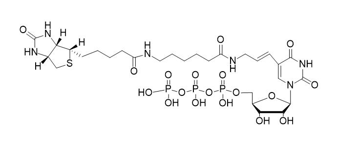 Biotin-11-UTP,Biotin-11-UTP