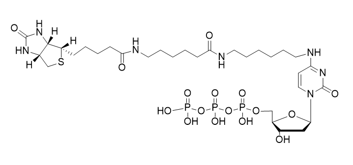 Biotin-14-dCTP,Biotin-14-dCTP