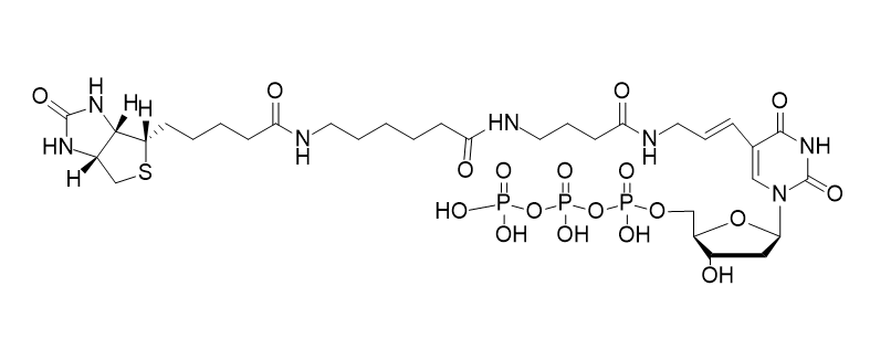 Biotin-16-dUTP,Biotin-16-dUTP