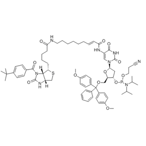 Biotin-dT,Biotin-dT