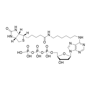 Biotin-7-dATP