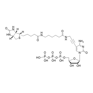 Biotin-11-CTP