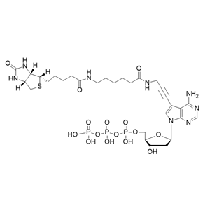 Biotin-11-dATP