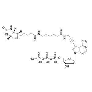 Biotin-11-dATP,Biotin-11-dATP