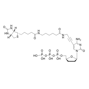 Biotin-11-ddCTP