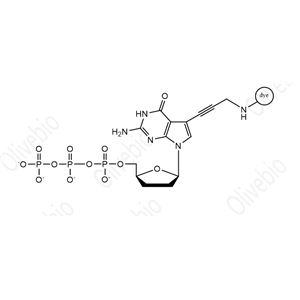 染料标记的2′,3′-二脱氧鸟苷 5′-三磷酸（ddGTP）,Dye Labeled dideoxynucleotide (G)