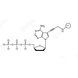 染料标记的2ˊ,3ˊ-二脱氧腺苷-5ˊ-三磷酸（ddATP）