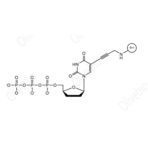 染料标记的2ˊ,3ˊ-二脱氧胸苷-5ˊ-三磷酸（ddTTP）