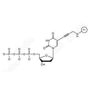 染料标记的2’-脱氧胸苷-5’-三磷酸(dTTP),Dye labeled deoxynucleotide(T)