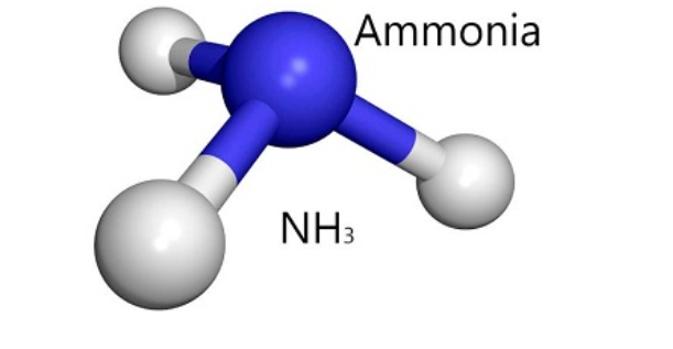 液氨,Ammonia