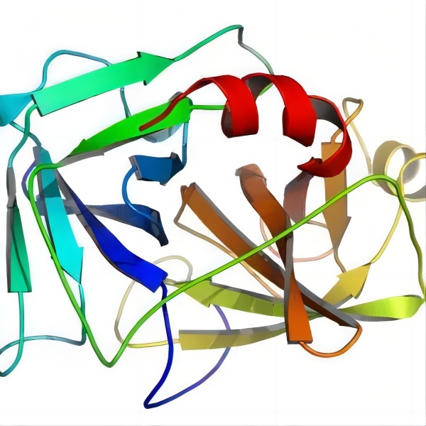 重组肠激酶,Recombinant Enterokinase