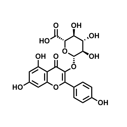 山奈酚葡萄糖醛酸苷,Kaempferol 3-glucuronide