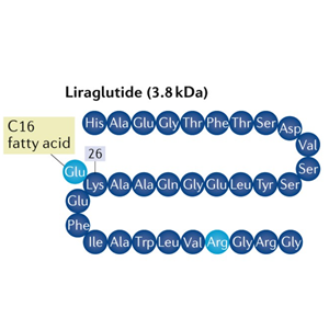 利拉鲁肽,Liraglutide