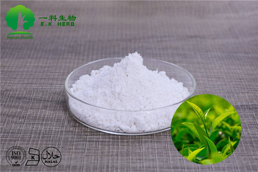 EGCG,Green tea extract