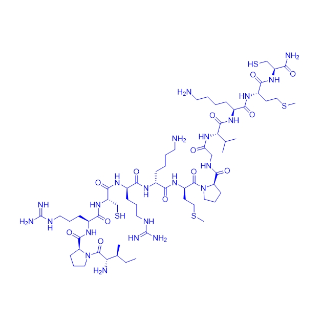 蛋白酶体激活剂Proteasome-activating peptide 1 (TFA),Proteasome-activating peptide 1 (TFA)