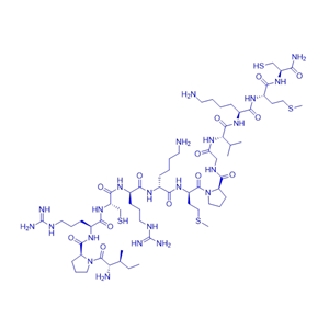 蛋白酶体激活剂Proteasome-activating peptide 1 (TFA)