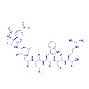 荧光底物肽MMP-2/MMP-9 Fluorogenic Substrate I/135662-07-6