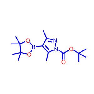 3,5-二甲基-4-(4,4,5,5-四甲基-1,3,2-二氧杂硼烷-2-基)-1H-吡唑-1-甲酸叔丁酯1073354-70-7
