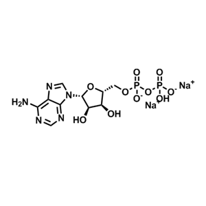 腺苷-5'-二磷酸二钠盐   16178-48-6