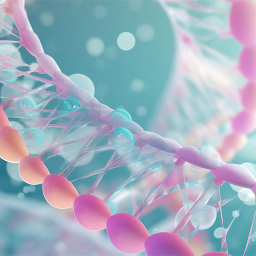 Nuclease核酸酶,Nuclease