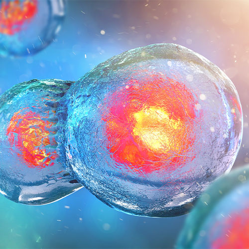 整合素α5β1,Integrin α5β1