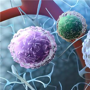 R-Spondin 1重组蛋白，ACROBiosystems百普赛斯