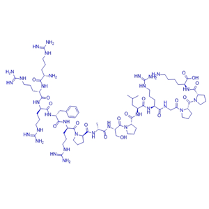 活性肽DYRKtide/2250228-51-2/DYRKtide