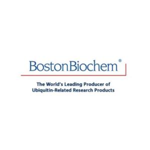 Boston Biochem